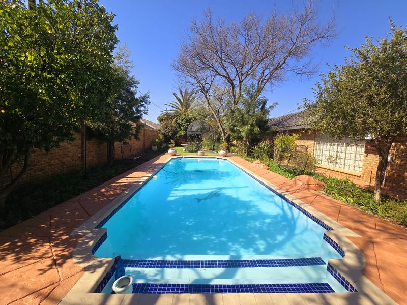 A well-maintained rectangular swimming pool with tiled steps, surrounded by a brick boundary wall and established garden landscaping.