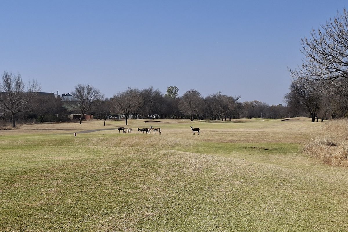 A scenic view of the expansive, well-maintained residential land featuring mature trees and open grassy areas.