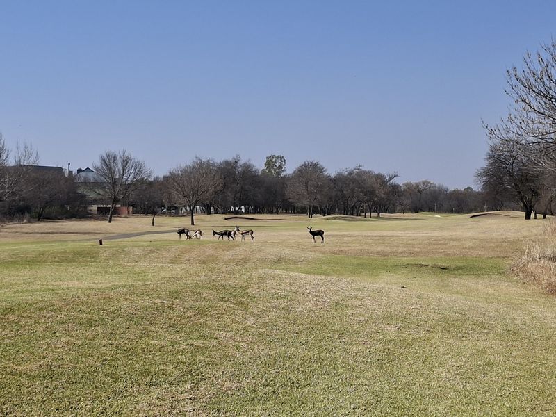 A scenic view of the expansive, well-maintained residential land featuring mature trees and open grassy areas.