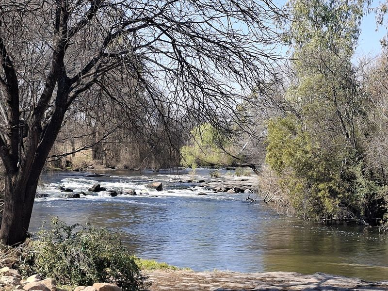 A scenic view of a flowing river with rocky rapids, surrounded by mature trees and natural vegetation.