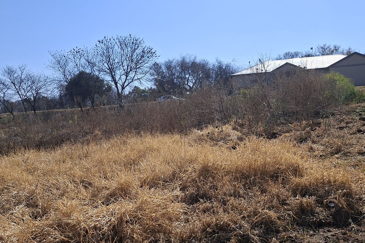 A view of a vacant residential plot featuring dry, overgrown grass and a boundary wall, with neighboring structures visible in the background.