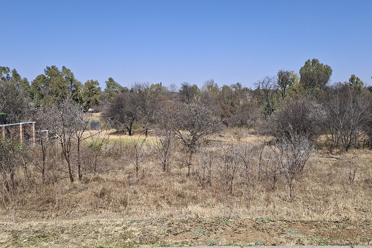 A view of a vacant residential plot featuring natural vegetation, mature trees, and a partial view of an adjacent brick boundary wall.