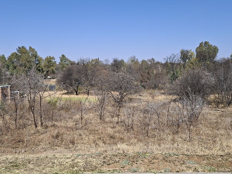 A view of a vacant residential plot featuring natural vegetation, mature trees, and a partial view of an adjacent brick boundary wall.