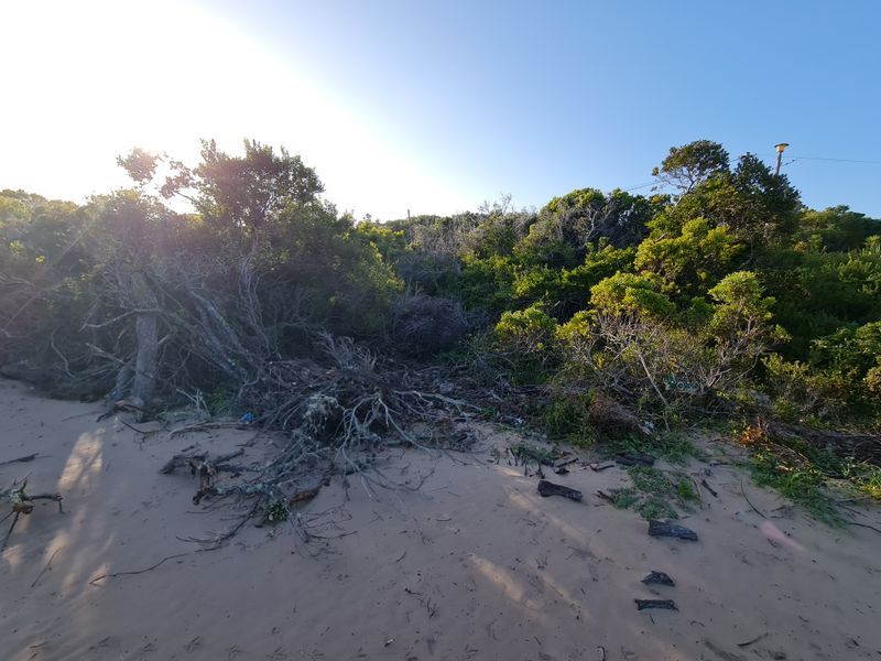 Vacant Land in Paradise Beach, Jeffreys Bay - Photo 6