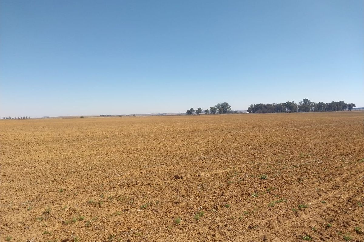 A wide-angle view of expansive, flat agricultural land under a clear blue sky, suitable for farming or development.