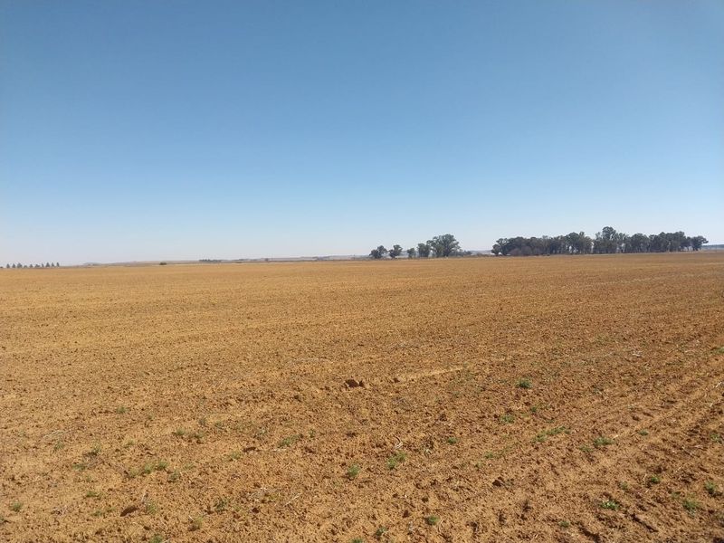 A wide-angle view of expansive, flat agricultural land under a clear blue sky, suitable for farming or development.