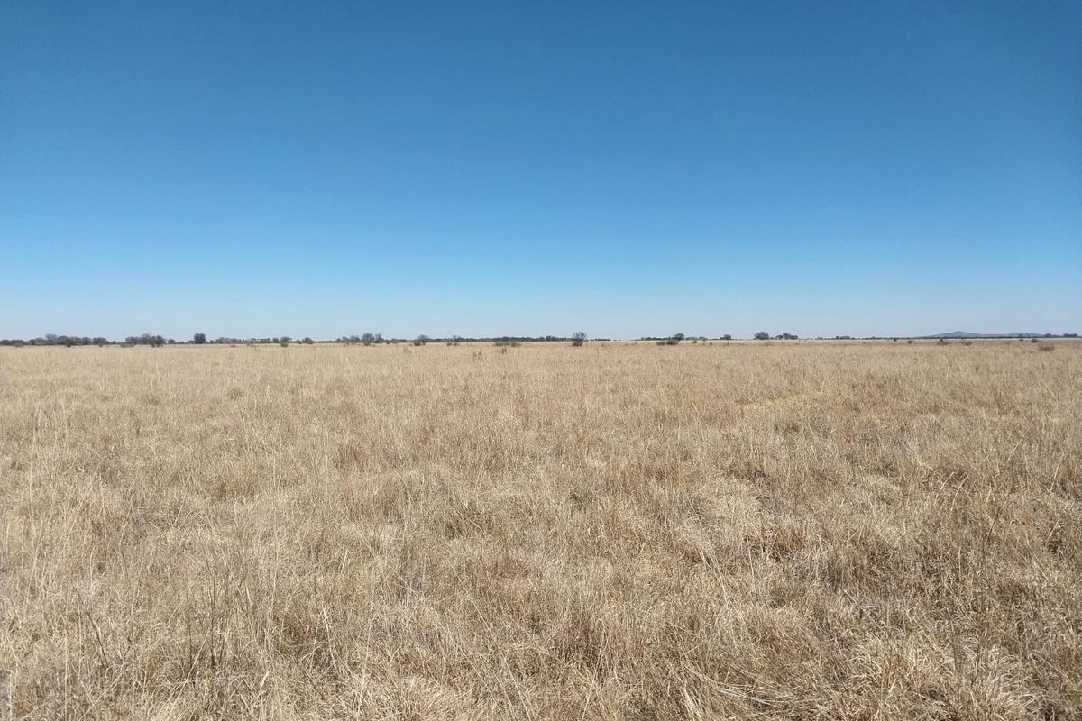 Expansive open grassland landscape under a clear blue sky, showcasing the natural terrain of the farm property.