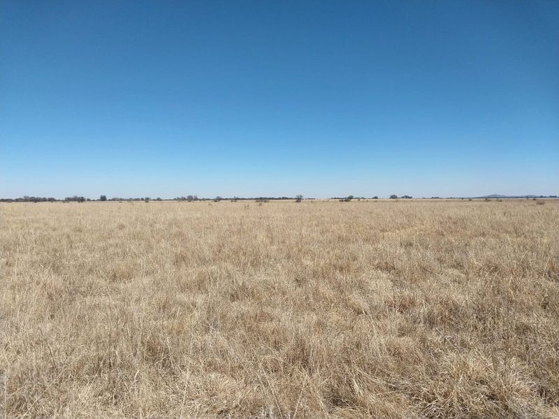 Expansive open grassland landscape under a clear blue sky, showcasing the natural terrain of the farm property.