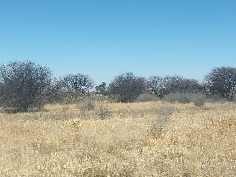 An expansive view of the natural farm landscape featuring dry grass and indigenous trees under a clear blue sky.