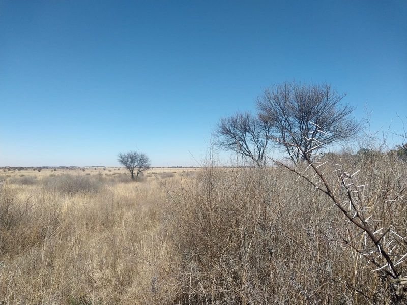 A wide-angle view of the expansive, dry natural landscape and indigenous vegetation characteristic of the farm property.