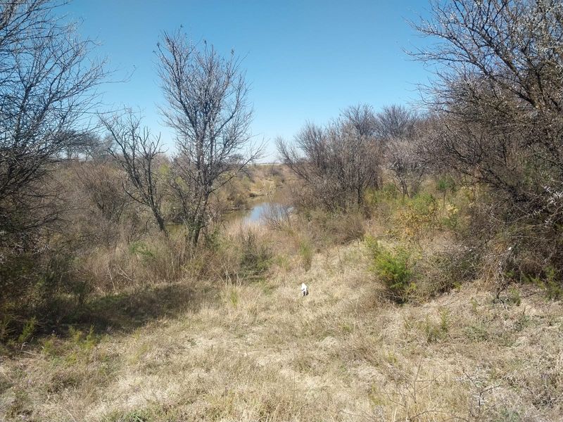A scenic view of the natural landscape on the farm, featuring indigenous vegetation and a small water feature.