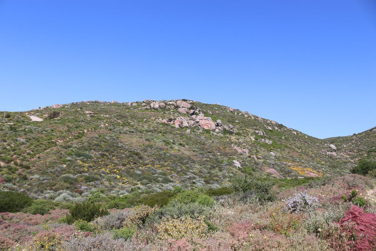 Vacant Land in Steenbergs Cove, St Helena Bay - Photo 5