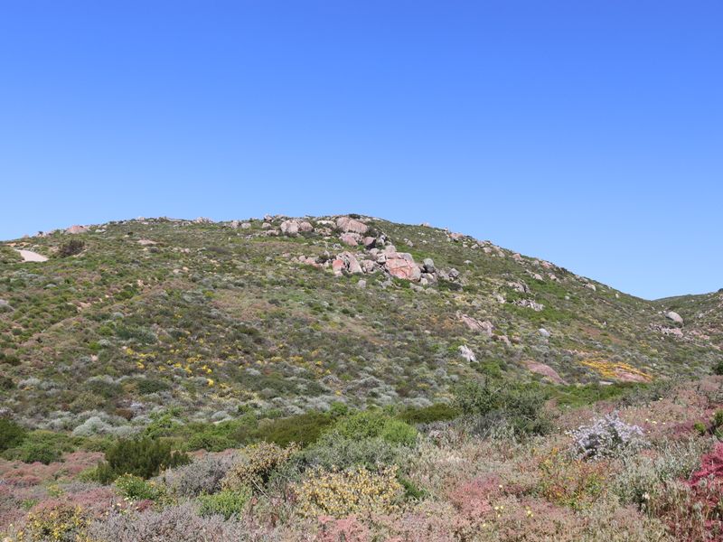 Vacant Land in Steenbergs Cove, St Helena Bay - Photo 5