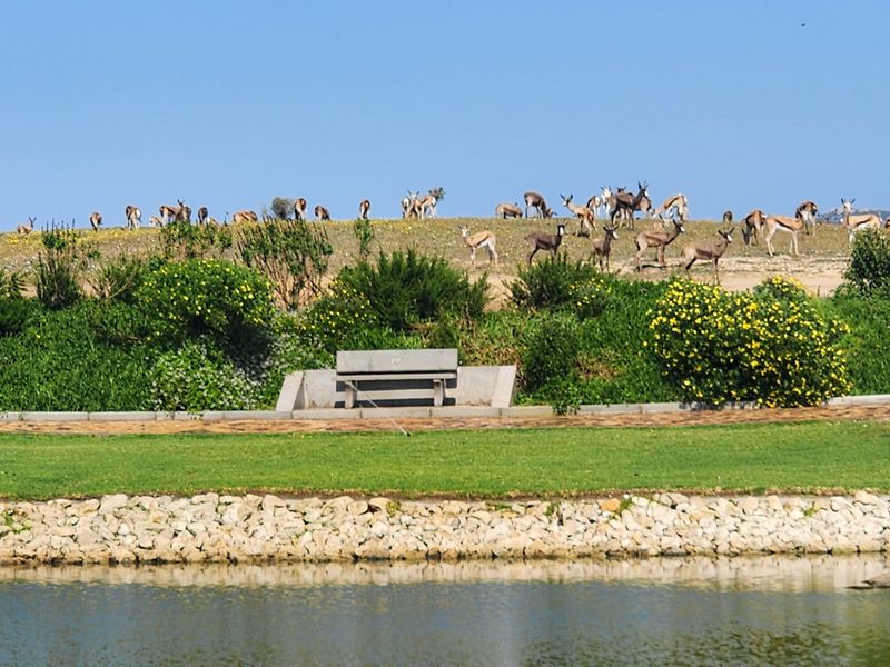 Brand-New Lock-Up & Go Luxury Apartment - Photo 8