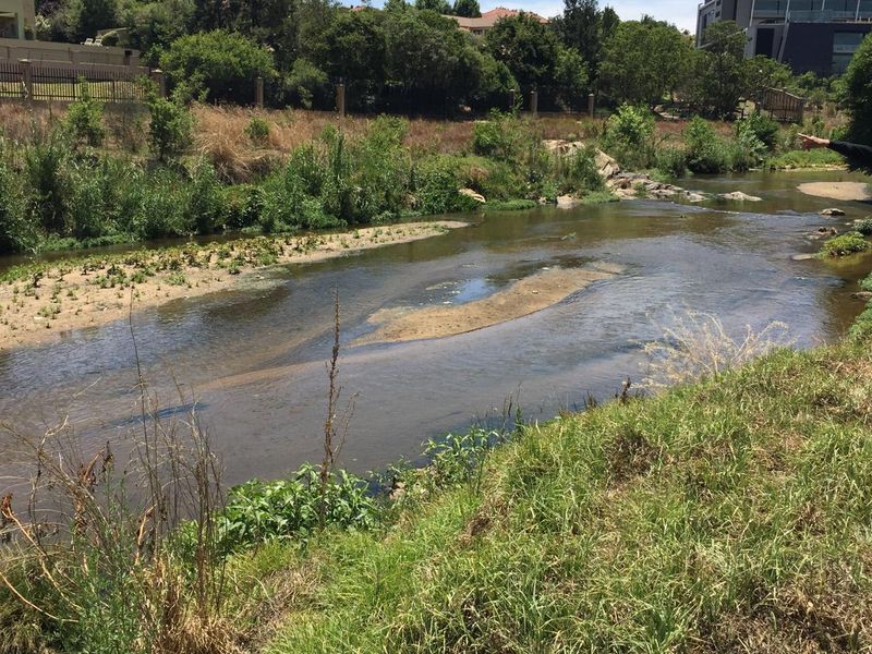 Prime Development Opportunity in a Sought-After Location - Photo 6