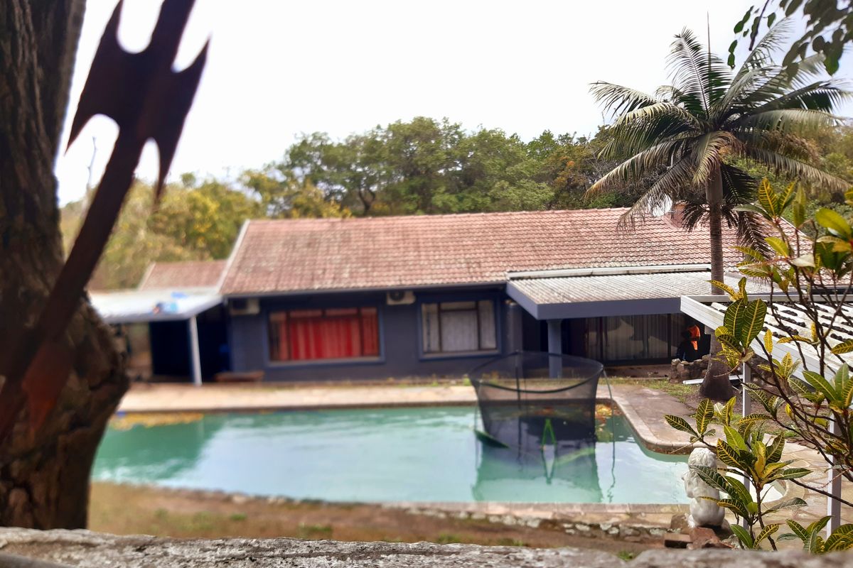 Rear view of the property featuring a swimming pool, tiled roof, and outdoor patio area set against a natural garden backdrop.