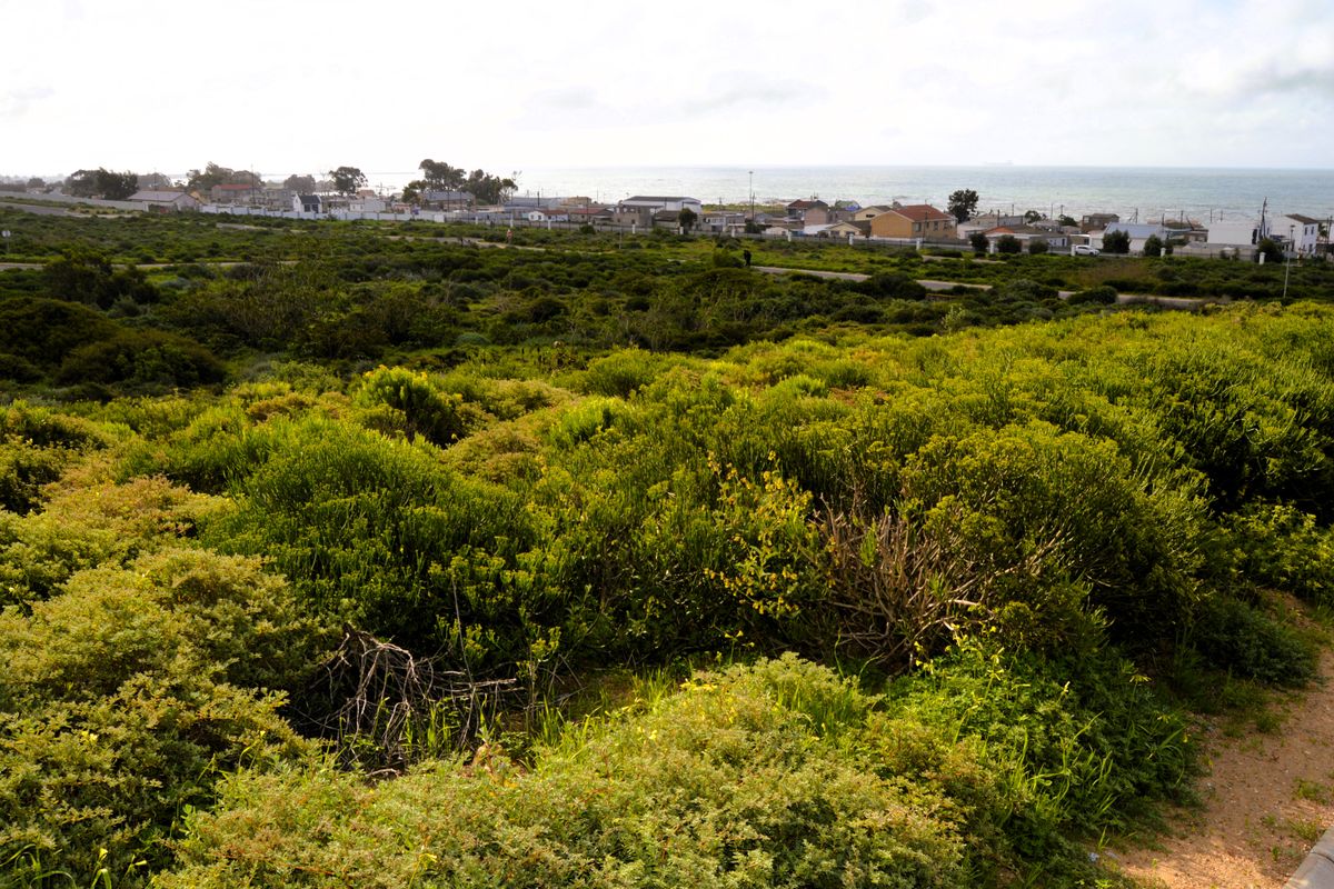 Not to be missed!!! A 299m2 Erf @ R499 000-00 in St Helena Bay. - Photo 4