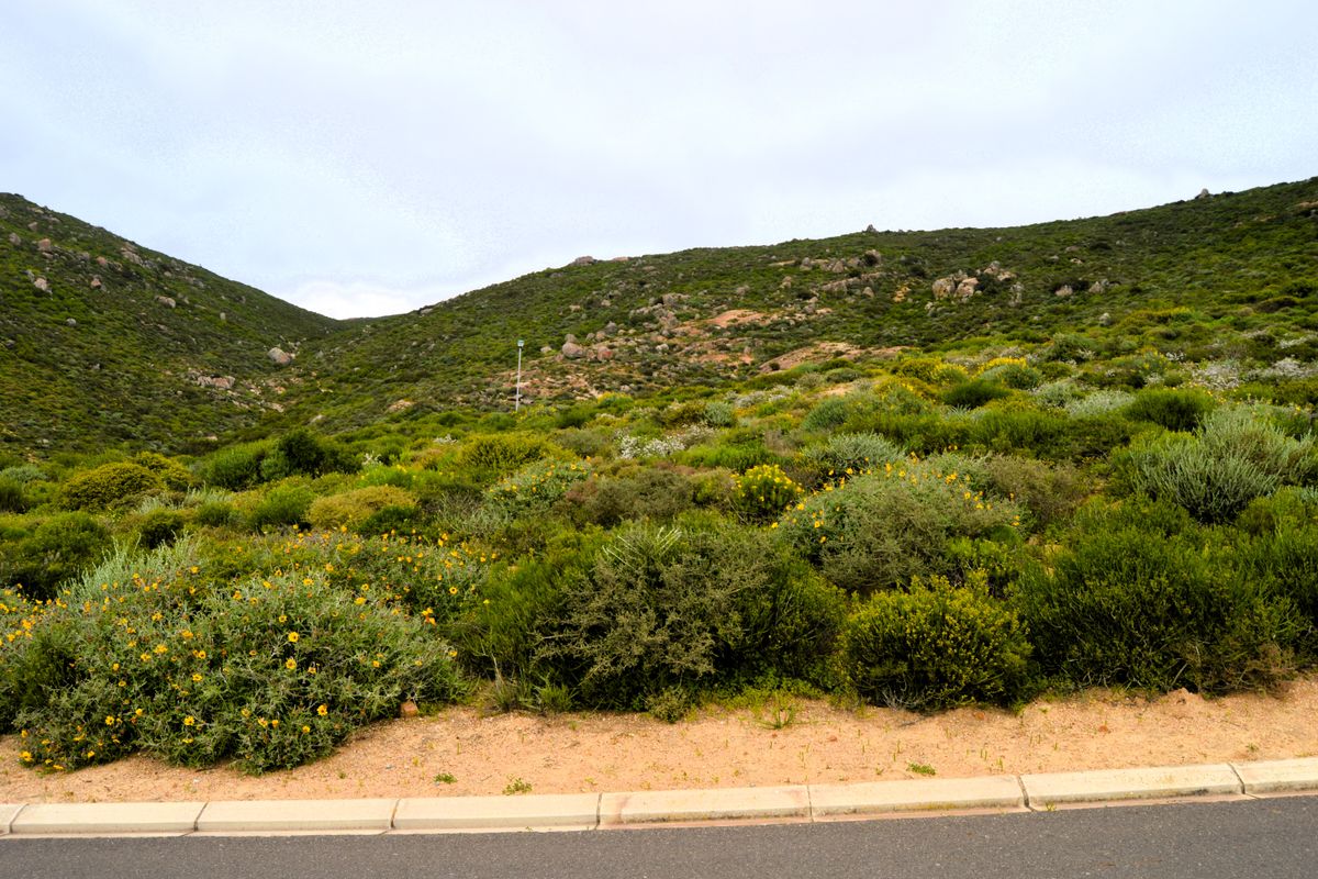 Not to be missed!!! A 449m2 Erf @ R599 000-00 in St Helena Bay. - Photo 3