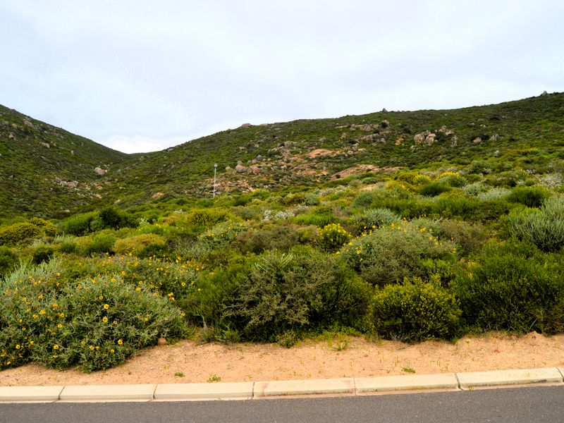 Not to be missed!!! A 449m2 Erf @ R599 000-00 in St Helena Bay. - Photo 3