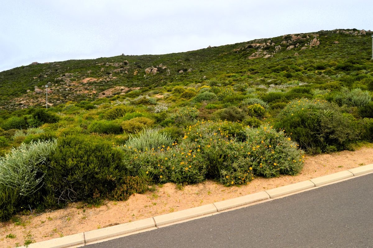 Not to be missed!!! A 449m2 Erf @ R599 000-00 in St Helena Bay. - Photo 2