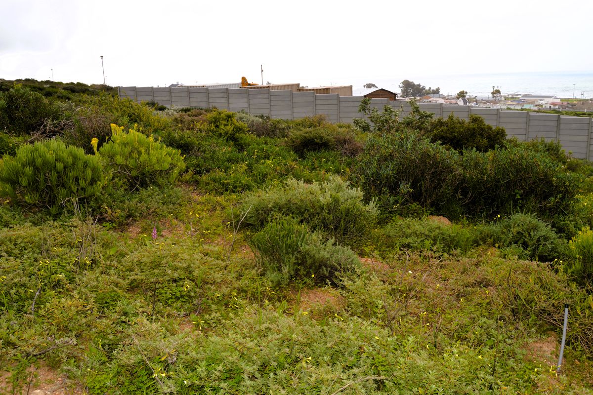 Not to be missed!!! A 466m2 Erf @ R599 000-00 in St Helena Bay. - Photo 4