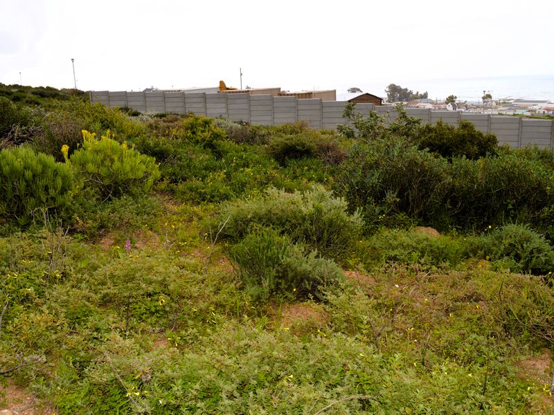 Not to be missed!!! A 466m2 Erf @ R599 000-00 in St Helena Bay. - Photo 4