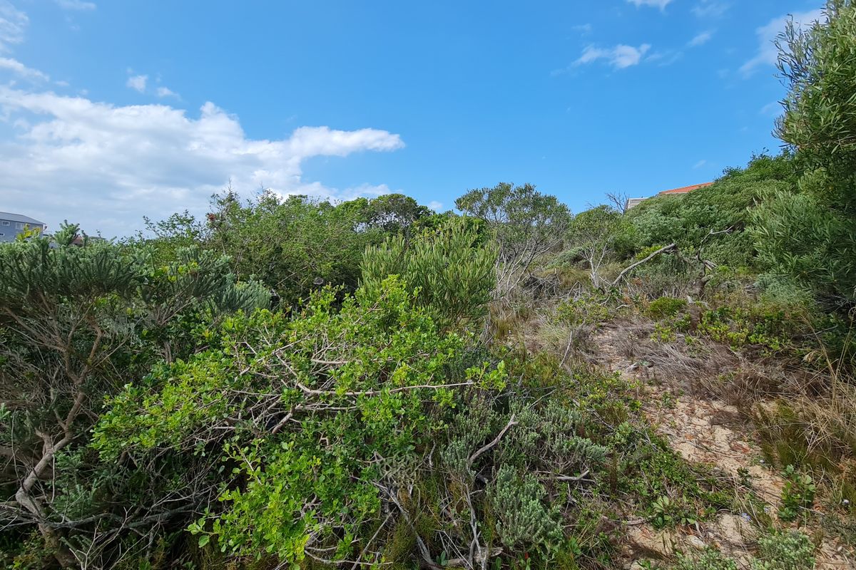 Elevated Vacant Stand with Panoramic Landscape Views in Paradise Beach, Jeffreys Bay - Photo 4