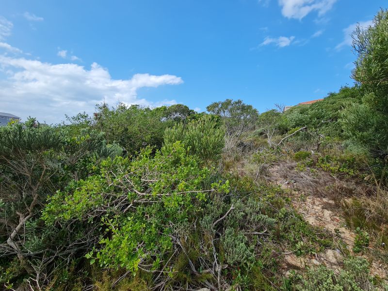 Elevated Vacant Stand with Panoramic Landscape Views in Paradise Beach, Jeffreys Bay - Photo 4