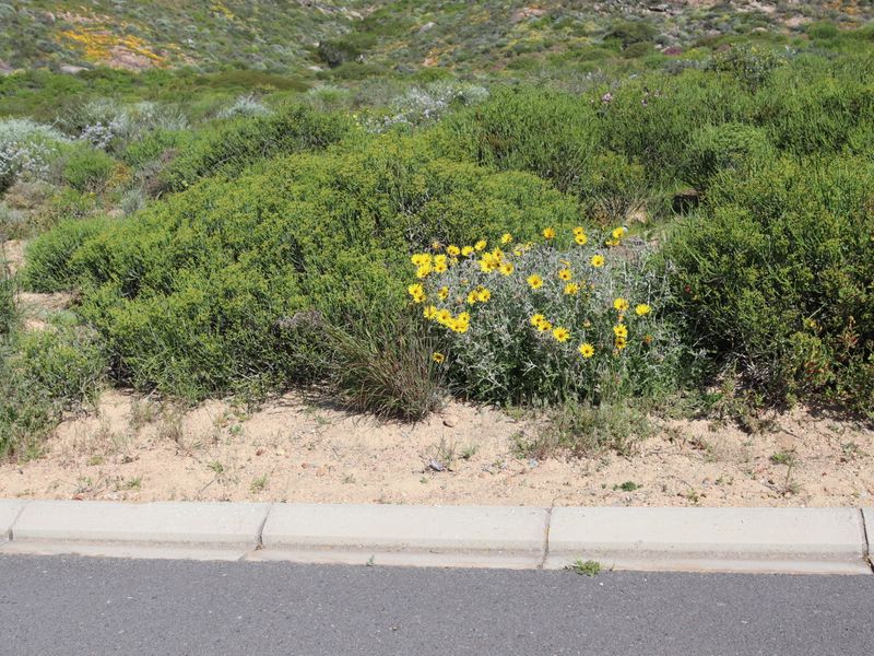 Corner land for Sale in Steenberg Cove, St Helena Bay - Photo 7