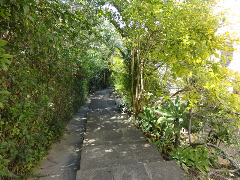 Such a scenic view at this Duplex, great for a lock-up and go! - Photo 2