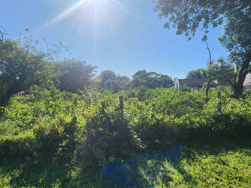 A view of a vacant residential plot featuring mature trees and overgrown vegetation, enclosed by perimeter fencing.