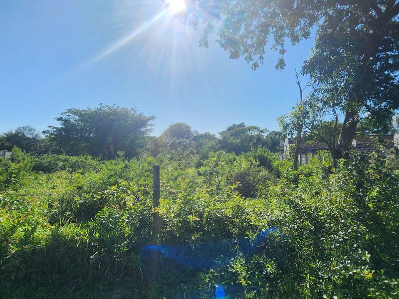 A vacant residential plot featuring dense, overgrown vegetation and perimeter boundary walls, offering a blank canvas for future development.