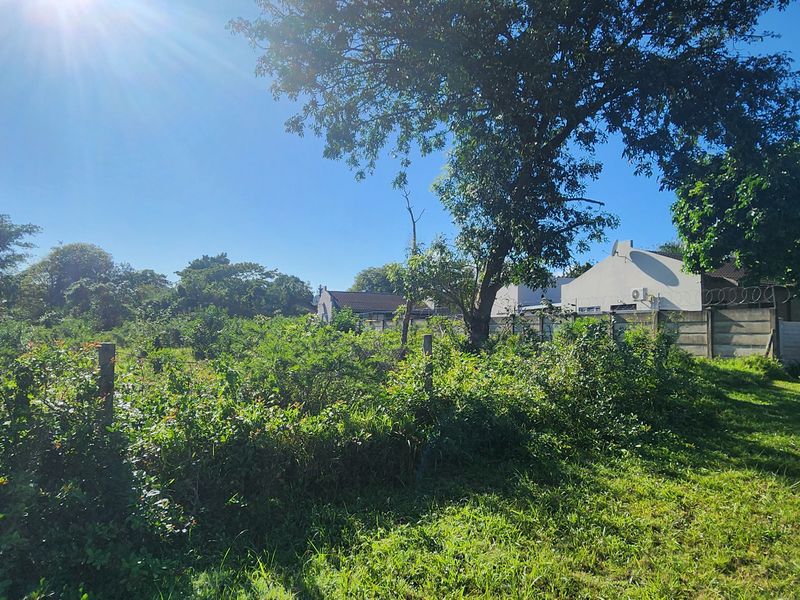 A view of a residential vacant land plot featuring mature trees, established vegetation, and perimeter boundary walling.