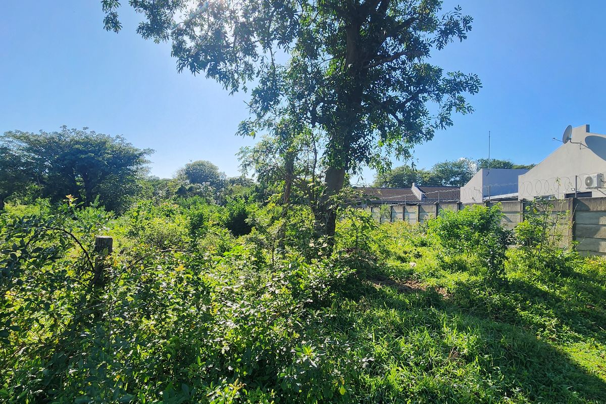 A view of a vacant residential plot featuring mature trees and a precast concrete boundary wall with security fencing.