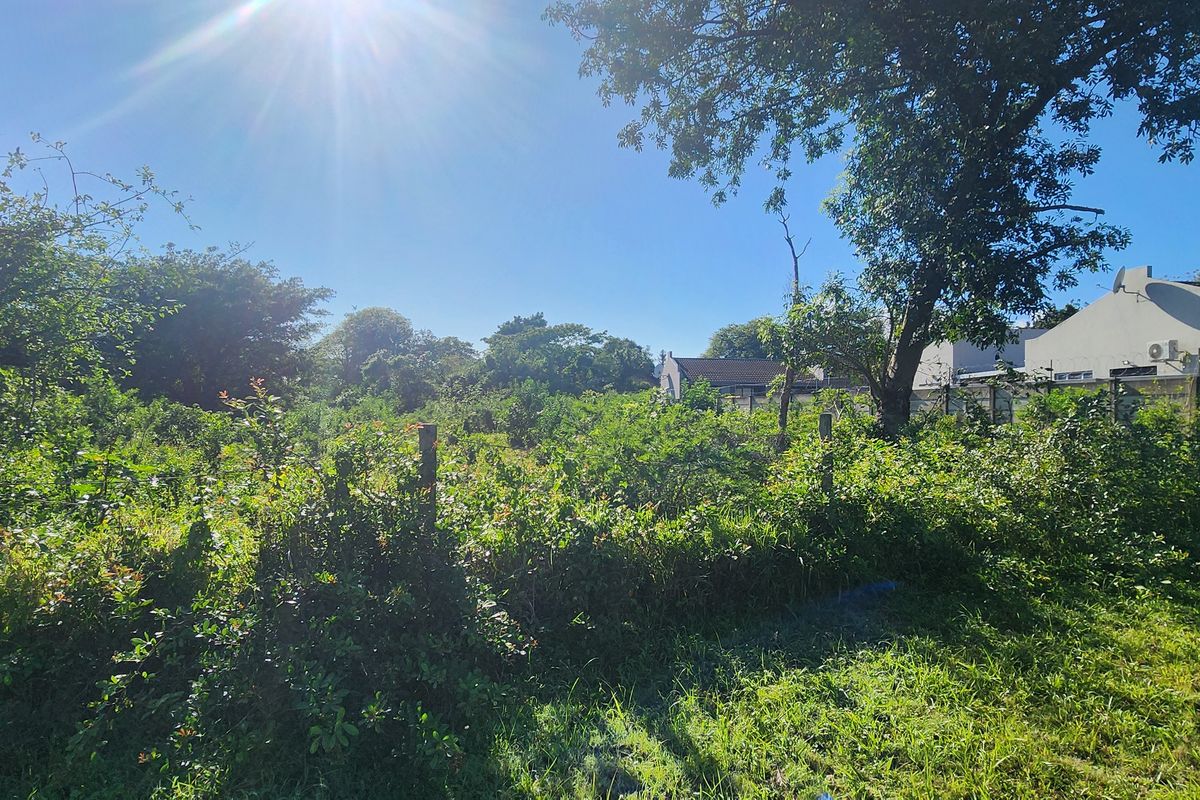 A view of a residential vacant plot featuring mature trees, overgrown vegetation, and existing boundary fencing.