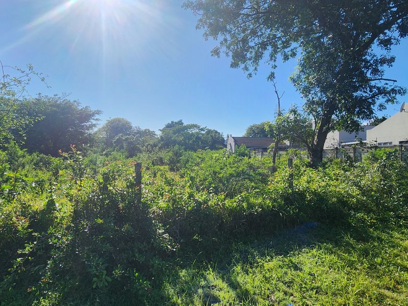 A view of a residential vacant plot featuring mature trees, overgrown vegetation, and existing boundary fencing.