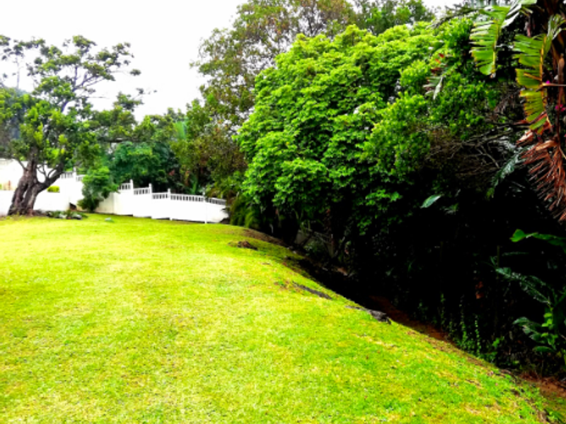 Double Your Income – Two 3-Bedroom Houses - Photo 2