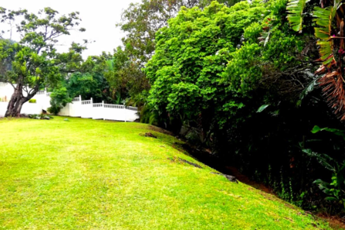 Double Your Income – Two 3-Bedroom Houses - Photo 2