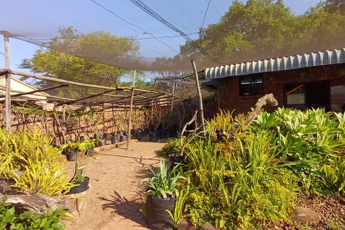 Loving plot life in Heatherdale - Photo 5