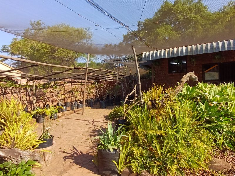 Loving plot life in Heatherdale - Photo 5