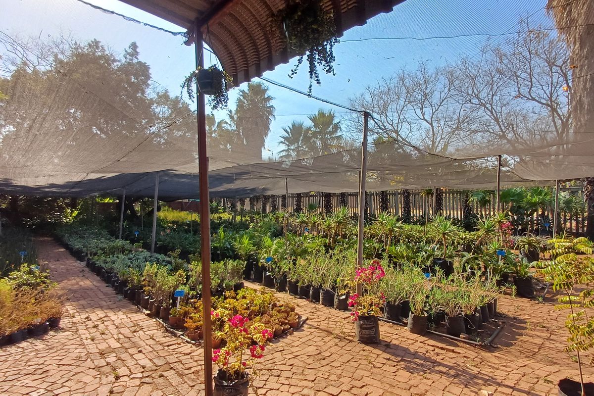 Loving plot life in Heatherdale - Photo 3