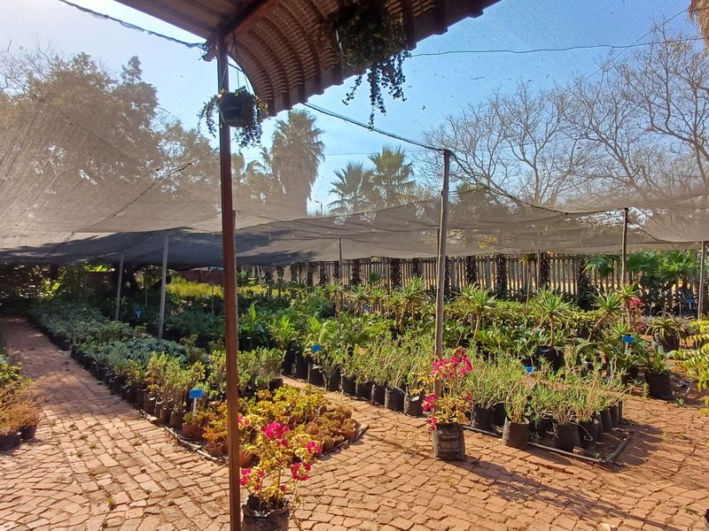 Loving plot life in Heatherdale - Photo 3