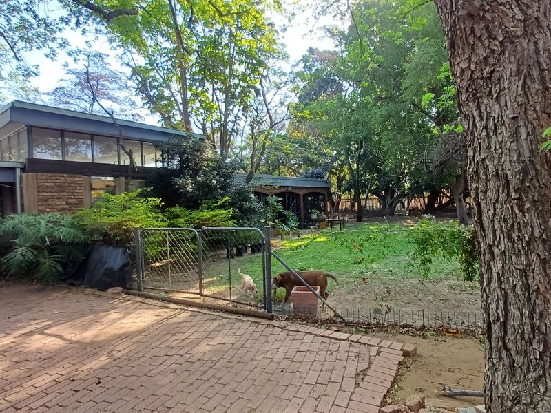 Loving plot life in Heatherdale - Photo 10