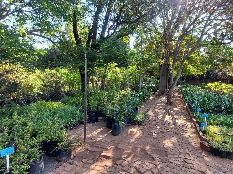 Loving plot life in Heatherdale - Photo 7