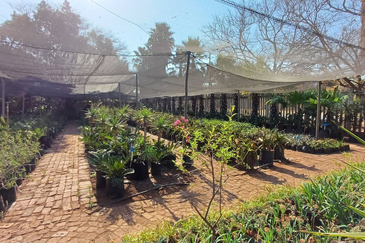 Loving plot life in Heatherdale - Photo 4