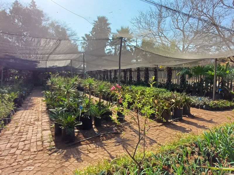 Loving plot life in Heatherdale - Photo 4