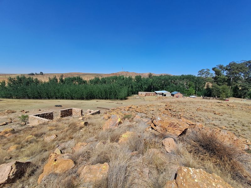An aerial view of a farm property featuring open landscape, a line of trees, and existing stone ruins near the foreground.
