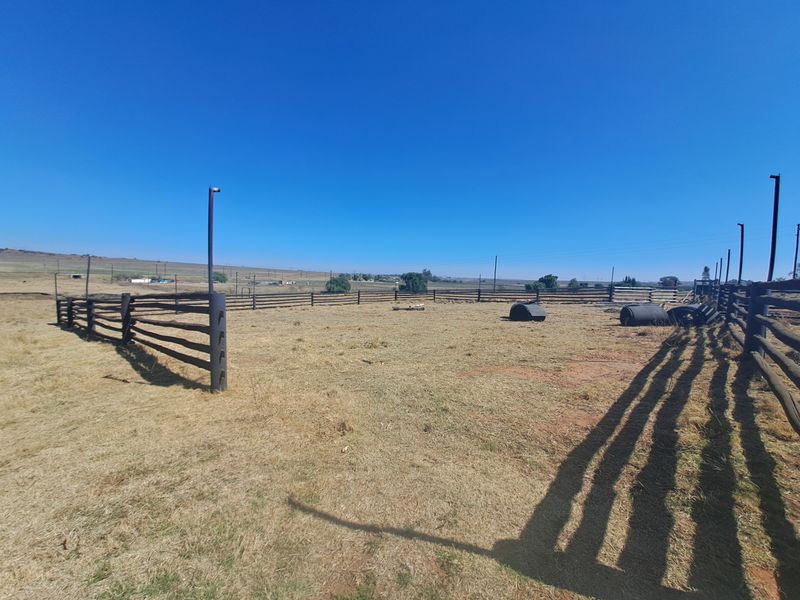 Expansive farm paddock area featuring secure timber post and rail fencing and integrated outdoor lighting poles, set against a clear rural landscape.