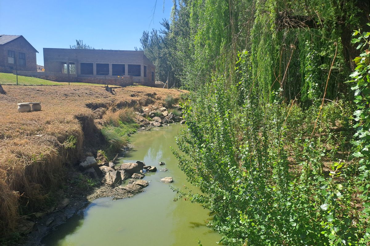 A scenic view of a natural stream flowing past the property, featuring mature willow trees and a rocky embankment.
