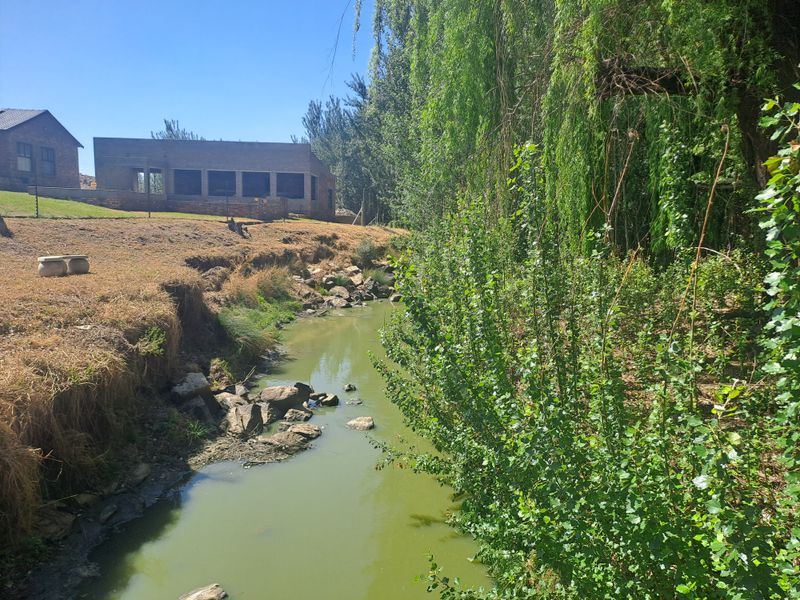 A scenic view of a natural stream flowing past the property, featuring mature willow trees and a rocky embankment.